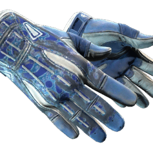 ★ Sport Gloves | Amphibious (Battle-Scarred)