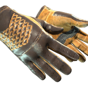 ★ Driver Gloves | Overtake (Field-Tested)