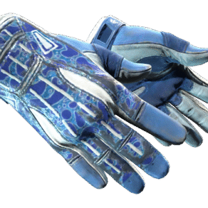 ★ Sport Gloves | Amphibious (Well-Worn)